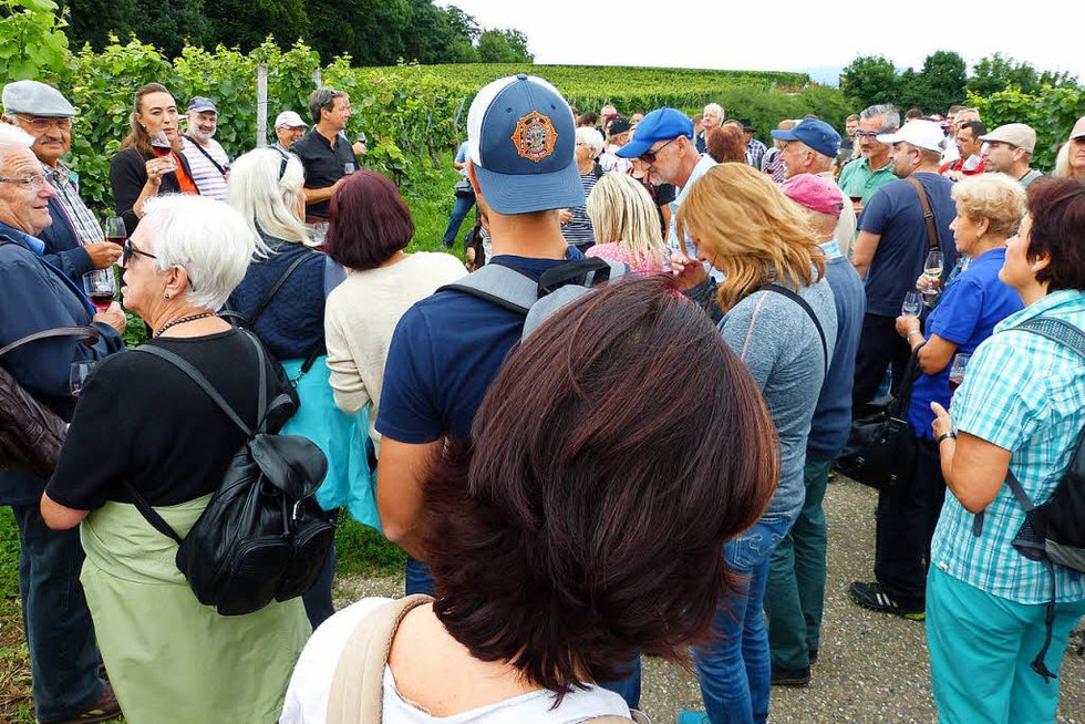 Weinfest mit Lichterketten und Panoramablick - Badische Zeitung TICKET