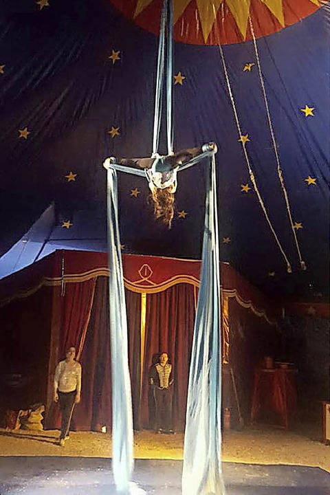 Zirkus Nock gastiert in Mllheim - Badische Zeitung TICKET