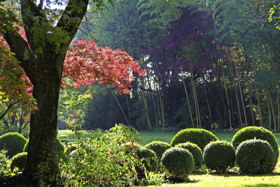 Workshops und Gartenfhrungen in Hertingen - Badische Zeitung TICKET