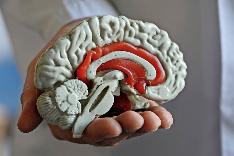 Woche des Gehirns an der Universit�t Basel - Badische Zeitung TICKET