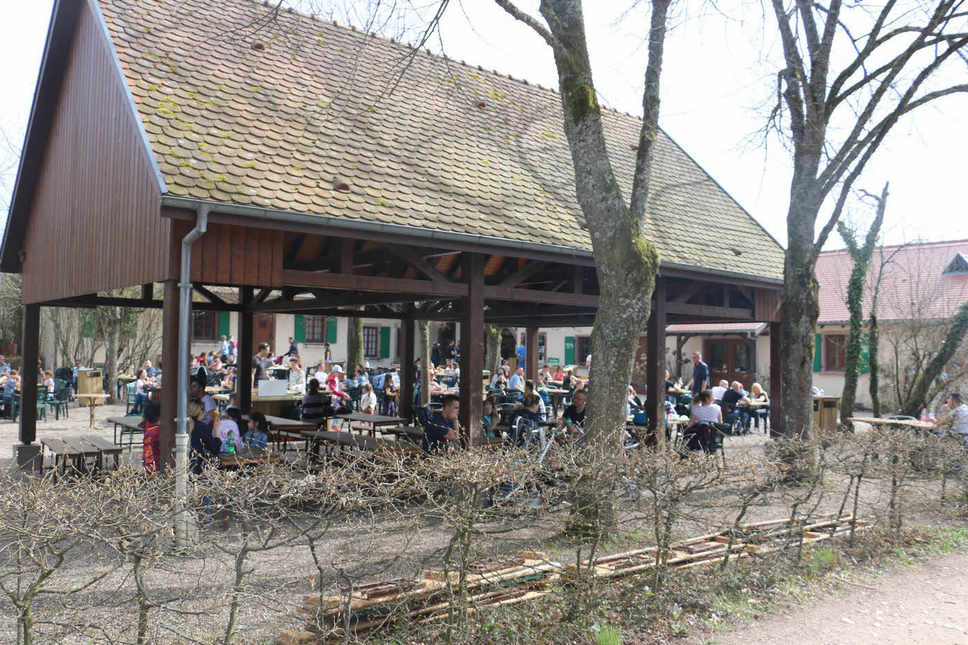 Spielplatz Affenberg Kintzheim Frankreich Badische Zeitung TICKET