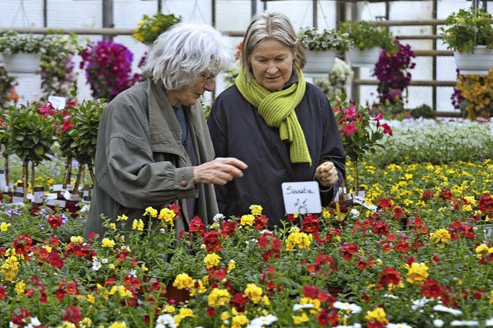 4. Gartenfestival im Schloss Ebnet - Badische Zeitung TICKET
