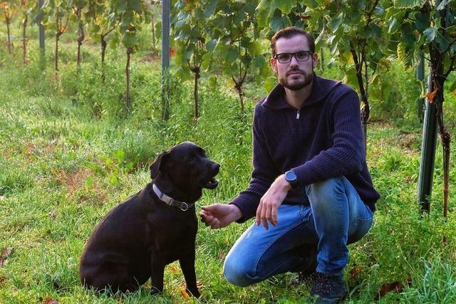 Andreas Bieselin: 
