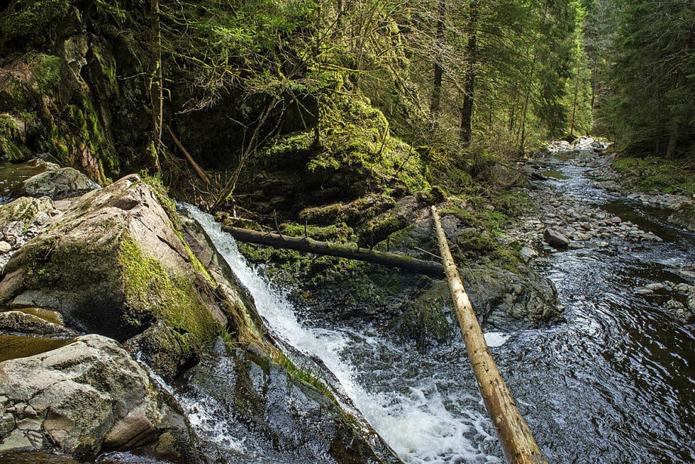 Wanderopening Schwarzwald - Badische Zeitung TICKET