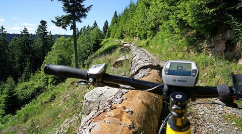 Mountainbiken Nordschwarzwald - Badische Zeitung TICKET