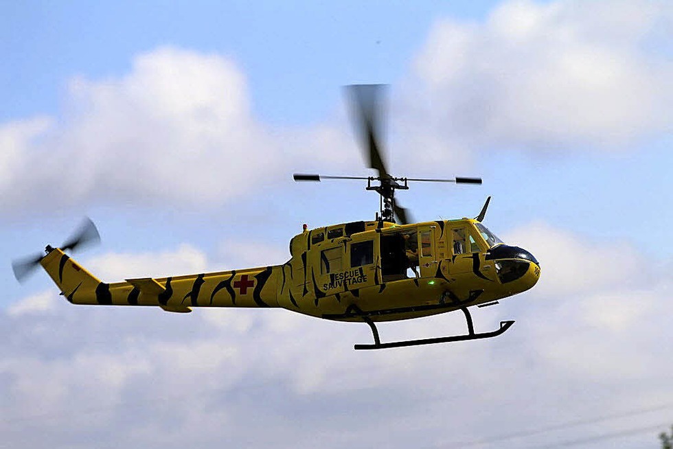 Loopings mit dem Flugzeug - Badische Zeitung TICKET