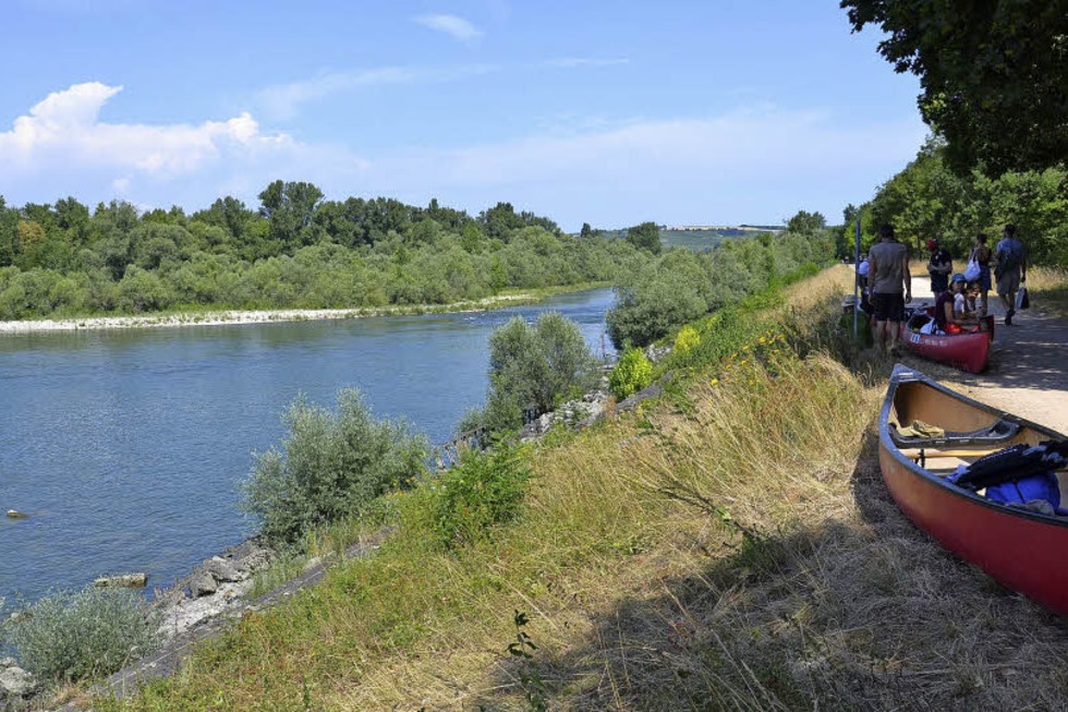 Kanutour des TRUZ auf dem Rhein bei Weil am Rhein - Badische Zeitung TICKET