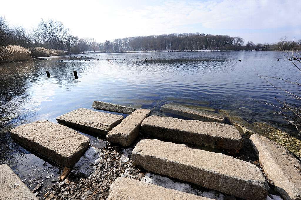 Moosweiher (Landwasser) Freiburg Badische Zeitung TICKET