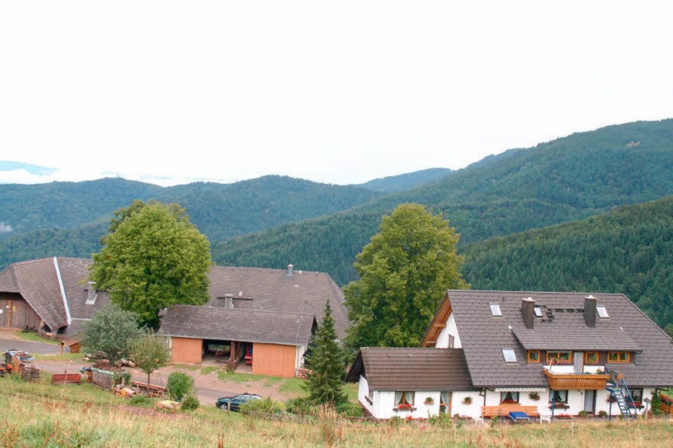 Ortsteil Mnzenried - Horben