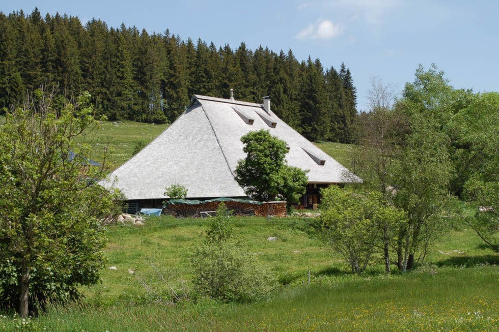 Kienzlerhansenhof - Schnwald im Schwarzwald