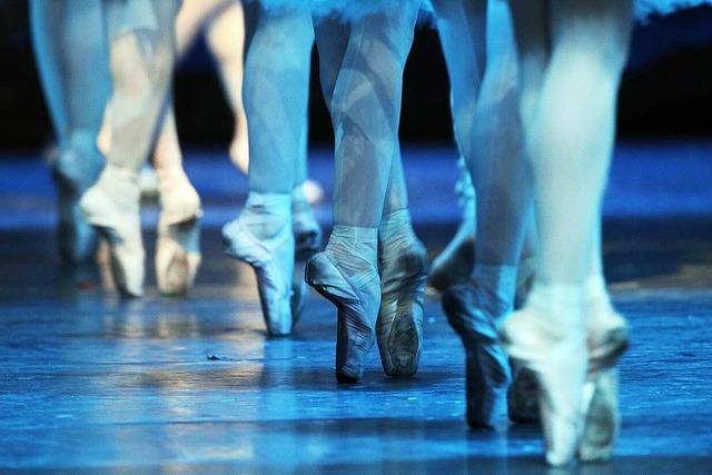 Balletschule Krain (im Ballhaus)