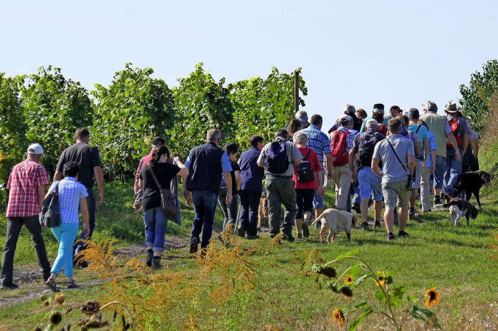 WANDERUNG - Badische Zeitung TICKET