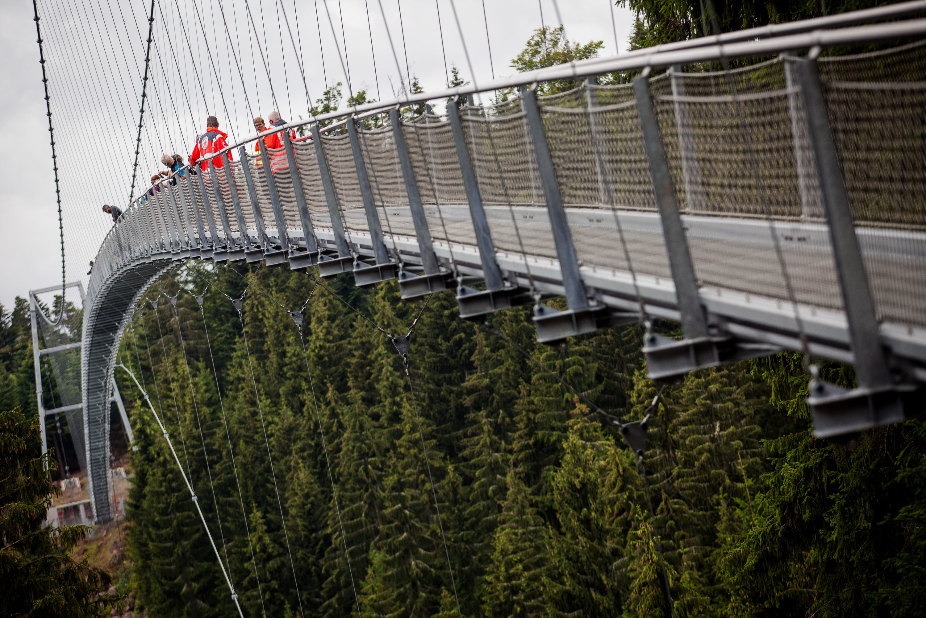 Wildline Hängebrücke Bad Wildbad Bad Wildbad Badische Zeitung TICKET