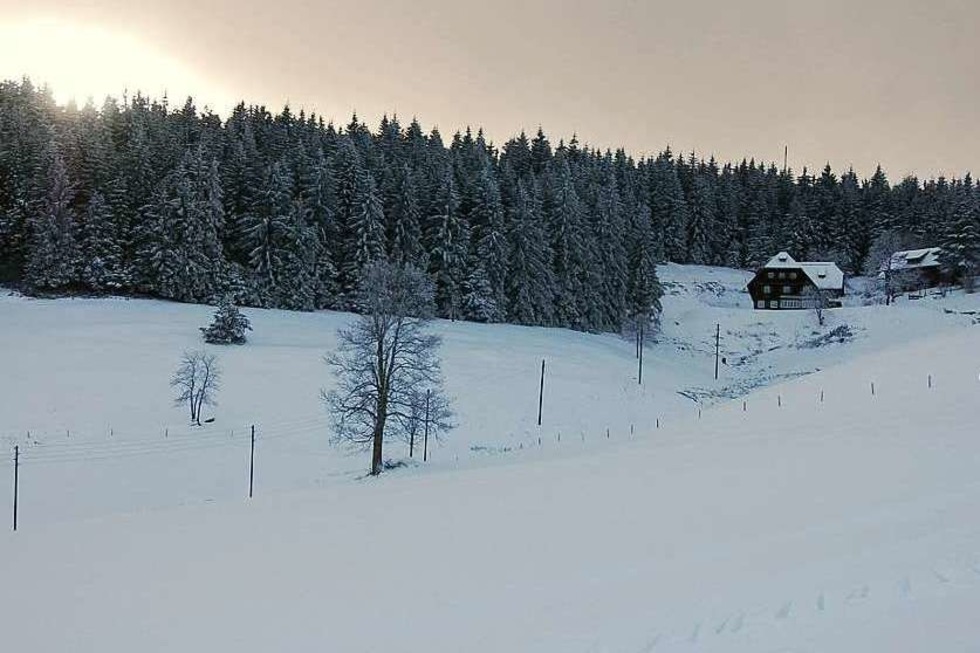 Skilift Rohrhardsberg - Schnwald im Schwarzwald