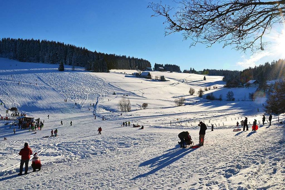 Skilift Dobel - Schnwald