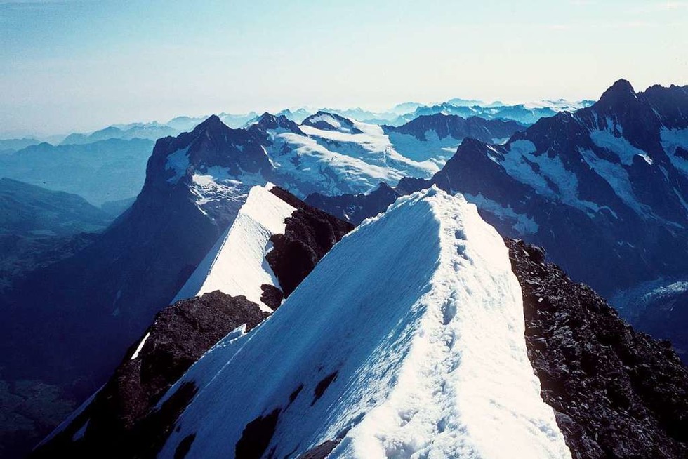 Adrenalin oder Lachflash? Unsere Tipps der Woche - Badische Zeitung TICKET