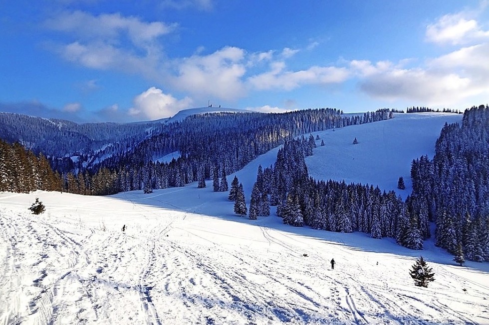 Schneeschuhwanderung am Feldberg - Badische Zeitung TICKET