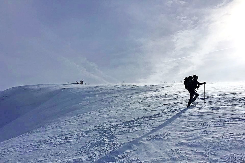 Schneeschuhtour auf dem Feldberg mit Einkehr - Badische Zeitung TICKET