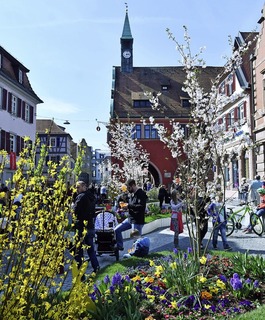 Lust auf Frhling - Badische Zeitung TICKET