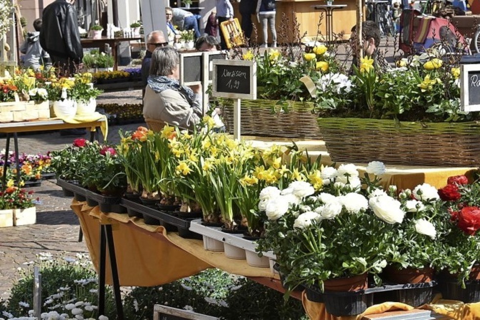 Mrkte fr Frhlingsblumen und -deko, Osterhasen und Fahrrder in Gundelfingen und Glottertal - Badische Zeitung TICKET