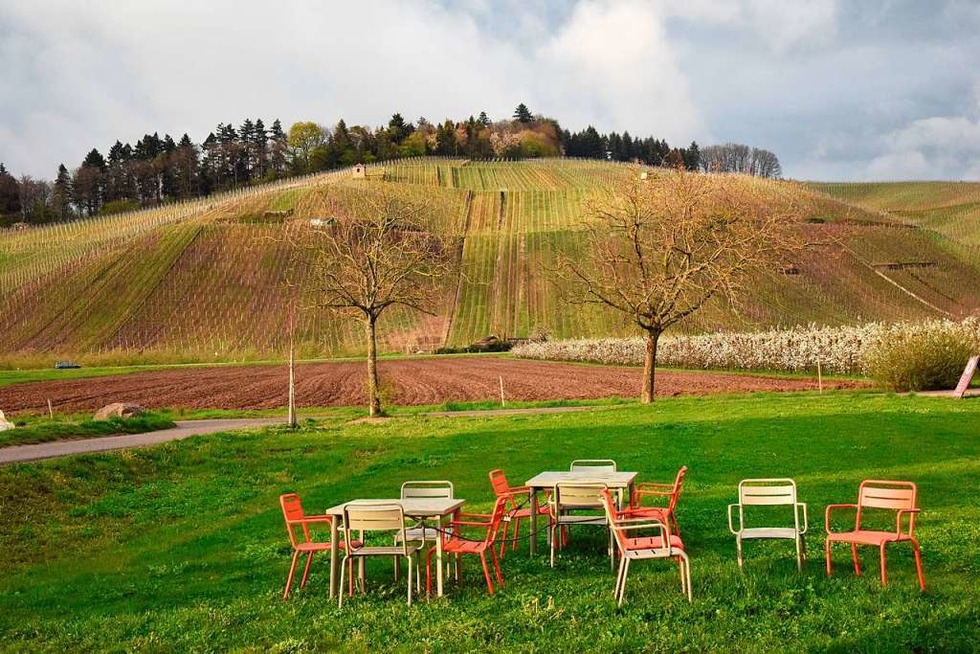 Die zweite Auflage der Weinkult Breisgau steigt im Juni in Buchholz - Badische Zeitung TICKET