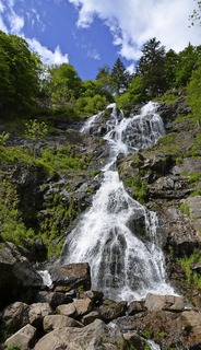Eine Wanderung zum Todtnauer Wasserfall - Badische Zeitung TICKET