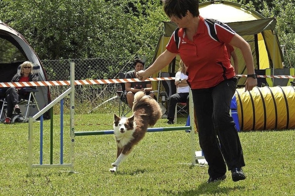 Agility Turnier in Emmendingen - Badische Zeitung TICKET