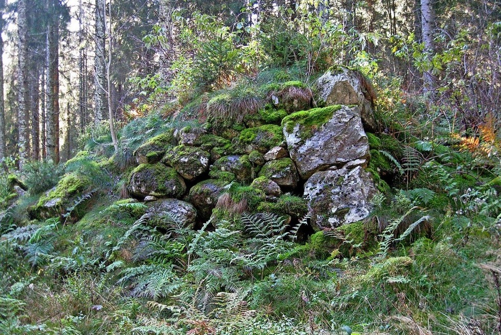 Auf den Spuren unserer Vorfahren im Sdschwarzwald - Badische Zeitung TICKET