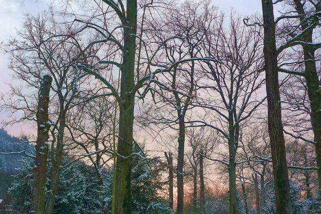 Konrad-Guenther-Park (Waldsee)