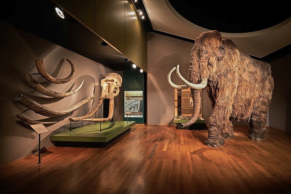 TIPP: AUSSTELLUNG - Badische Zeitung TICKET