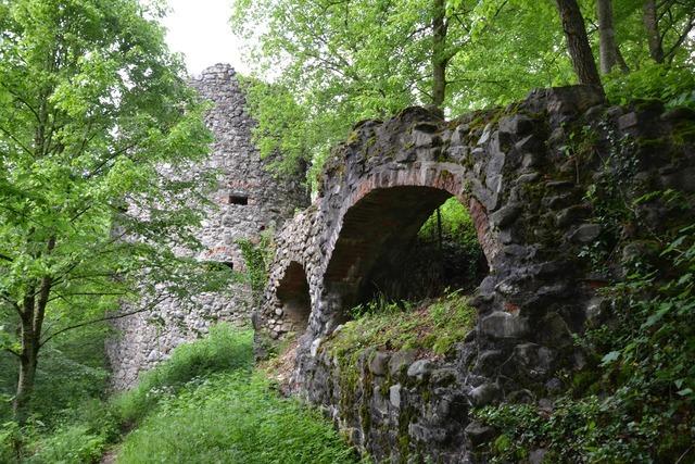 Burgruine Ratzenried