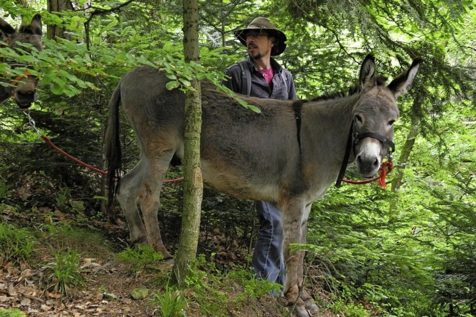 Landschaftsfhrer Oliver Haury in Bad Krozingen - Badische Zeitung TICKET