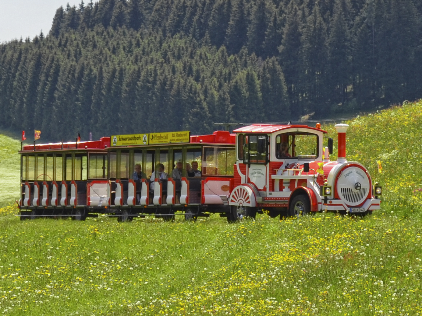 Zäpfle-Bahn - Titisee-Neustadt - Badische Zeitung TICKET