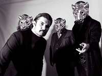 Wie die Freiburger Band Seven Purple Tigers die Corona-Pause nutzt