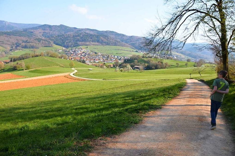 Wie ein Spaziergang zur Fototour gert - Badische Zeitung TICKET
