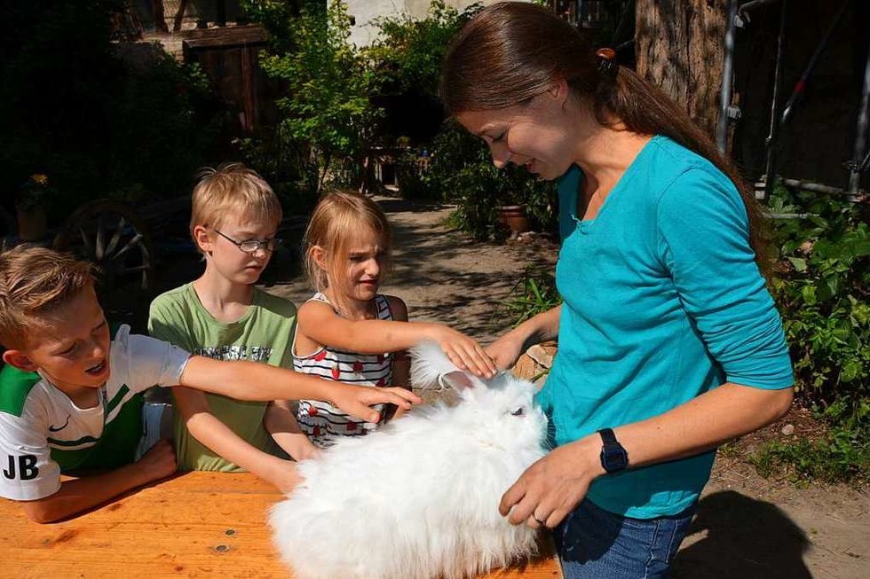 Auf dem Natur- und Erlebnishof in Opfingen knnen Kinder seltene Nutztierrassen kennenlernen - Badische Zeitung TICKET