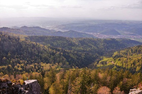 Panorama garantiert: Unterwegs auf dem Zauberberg Kandel - Badische Zeitung TICKET