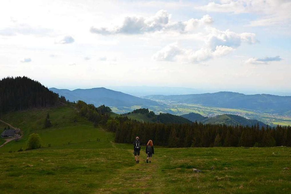 So idyllisch ist eine Wanderung auf den Hinterwaldkopf - Badische Zeitung TICKET