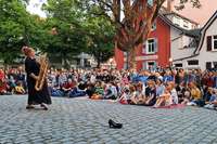 Straentheaterfestival in Freiburg: "Sind gespannt, wie die Knstler das umsetzen"