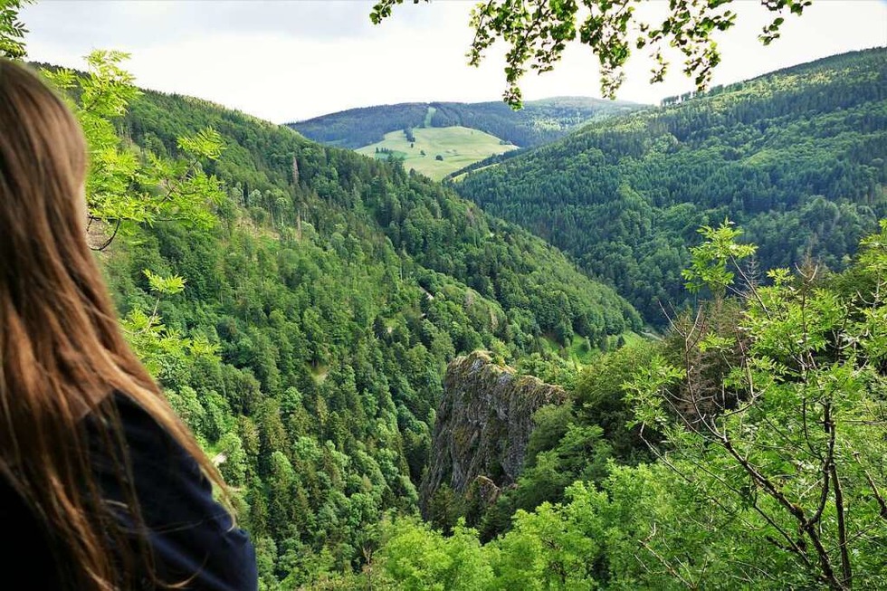 Steile Pfade und groes Abenteuer auf dem Ritterpfad im Mnstertal - Badische Zeitung TICKET