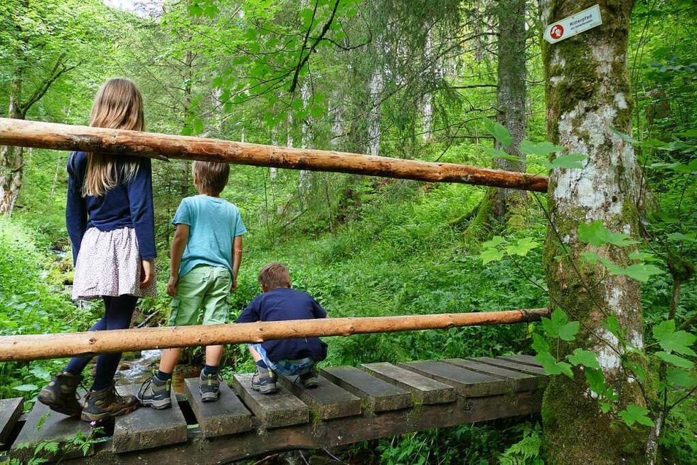 Steile Pfade und groes Abenteuer auf dem Ritterpfad im Mnstertal - Badische Zeitung TICKET