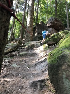 Der Felsenpfad bei Herbolzheim ist ein steiles Stck Abenteuer - Badische Zeitung TICKET