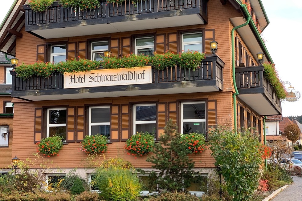 Hotel Schwarzwaldhof - Hinterzarten