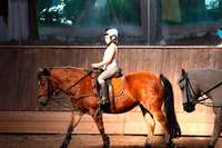 Reitschulen in Sdbaden: "Pferde kann ich nicht in Kurzarbeit schicken"
