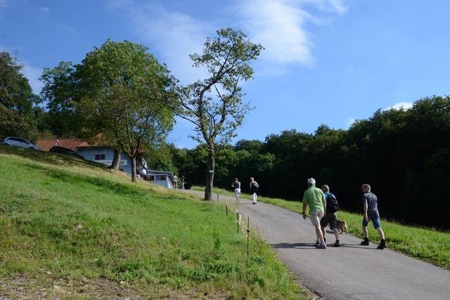 Bettelweg (Drlinbach)