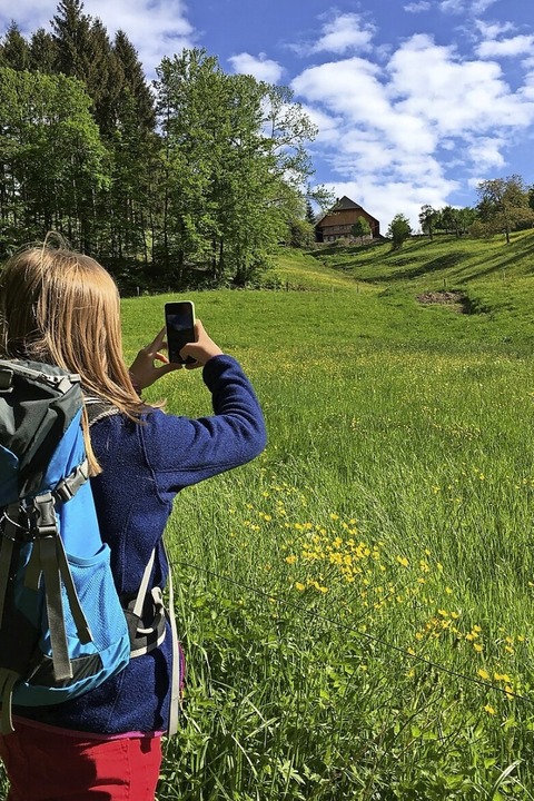 Wandern in der Ortenau - Badische Zeitung TICKET