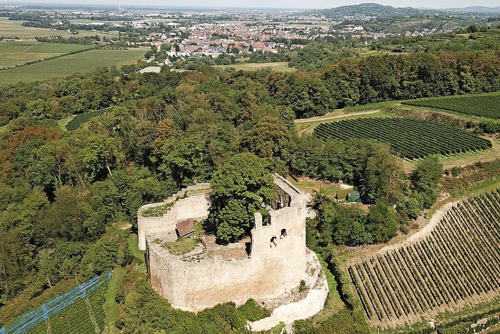 In der Burgruine Hecklingen Lichteneck findet eine Fhrung statt - Badische Zeitung TICKET