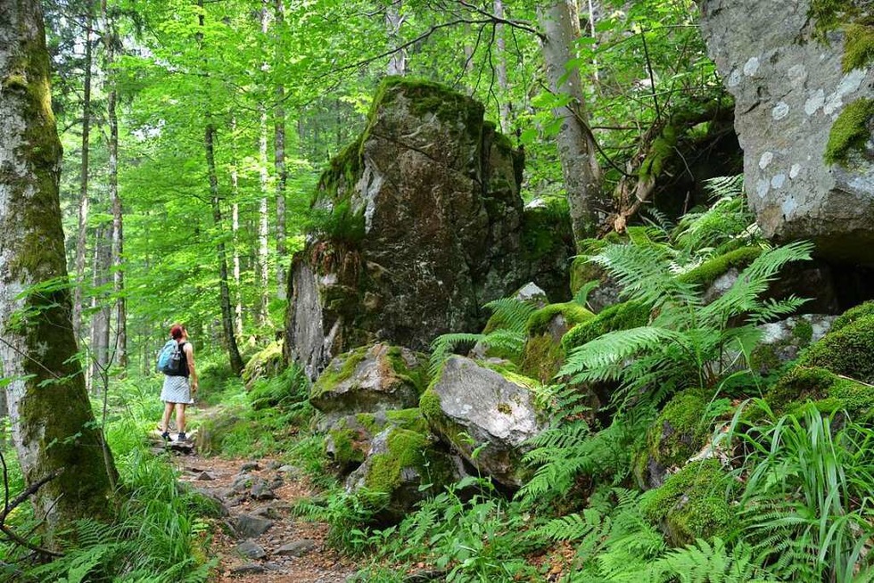 Auf dem Damenpfad zum Kandel: Rein in die Wanderschuhe, Ladys! - Badische Zeitung TICKET
