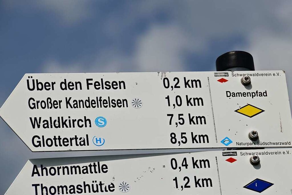 Auf dem Damenpfad zum Kandel: Rein in die Wanderschuhe, Ladys! - Badische Zeitung TICKET
