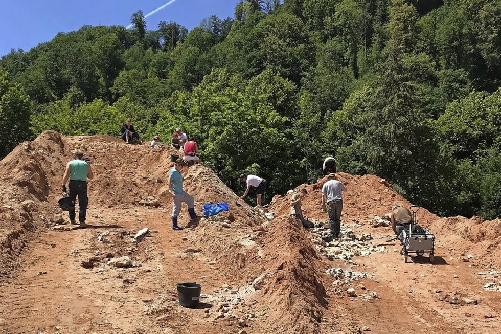 Die groen Mineralienhalden Sachtleben in Kirnbach ffnen fr Sammler - Badische Zeitung TICKET